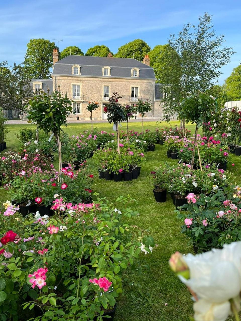 Le Manoir Du Ribardon Bed & Breakfast Neuvy-au-Houlme Exterior photo